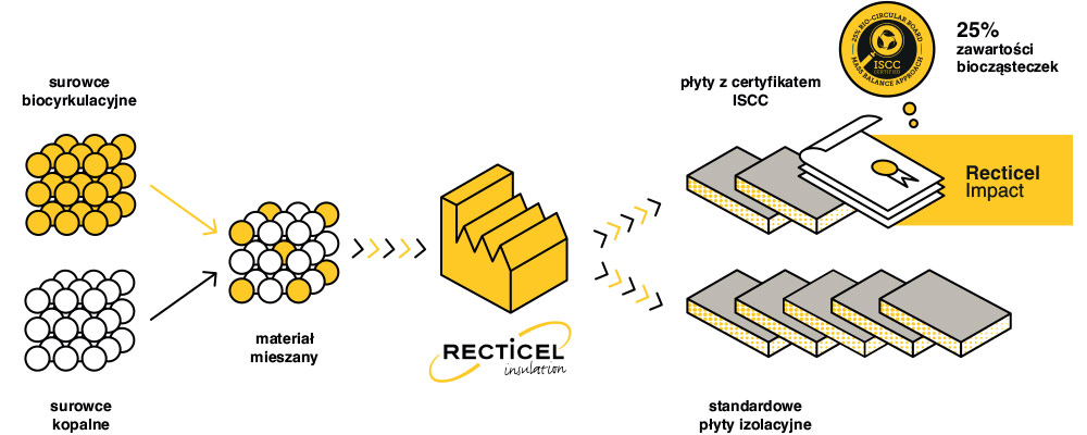 Infographic Impact