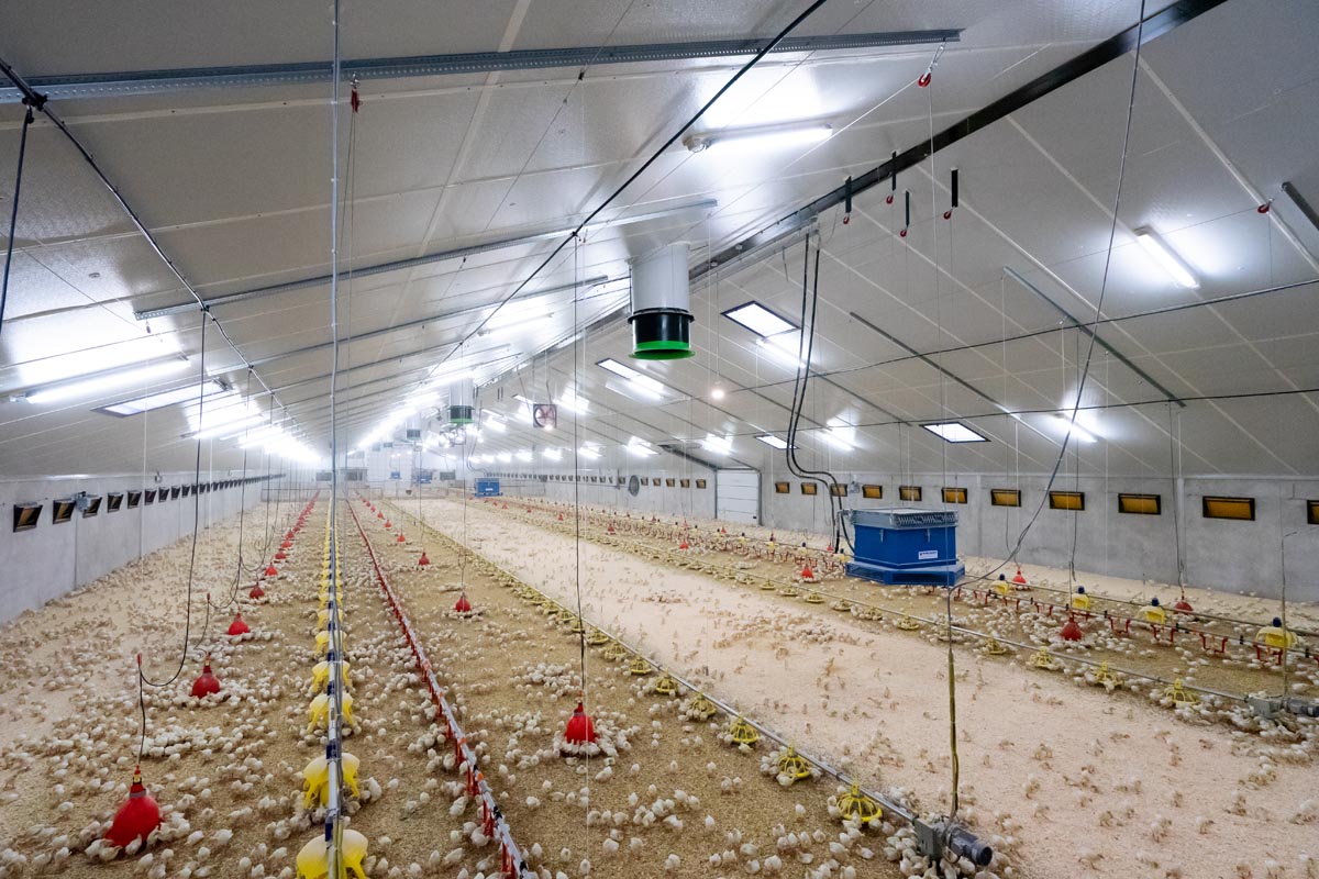 Kalkoenenstal Van Meijl te Weert geïsoleerd met Recticel Insulation Du.Panel X isolatie