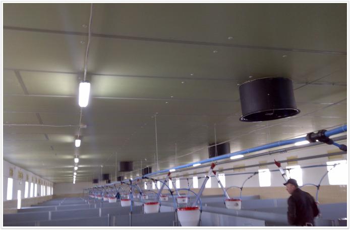 Zobacz, jak nasza rolnicza płyta PIR Powerline została zainstalowana w stajniach.