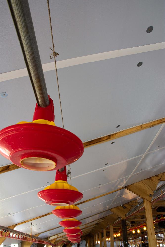 Powerline insulation for agriculture