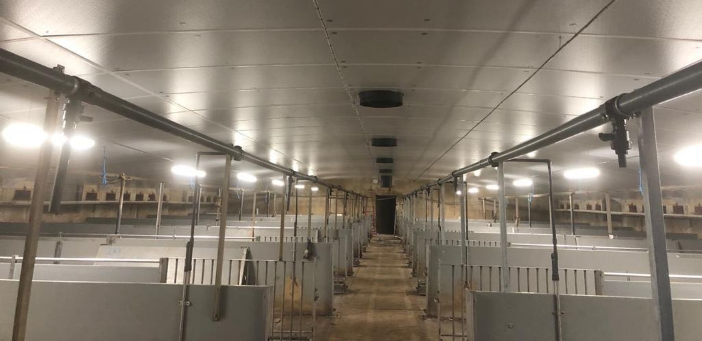 Recticel Insulation's Du.Panel<sup>®</sup> X installed within a pig farm unit - full building interior image