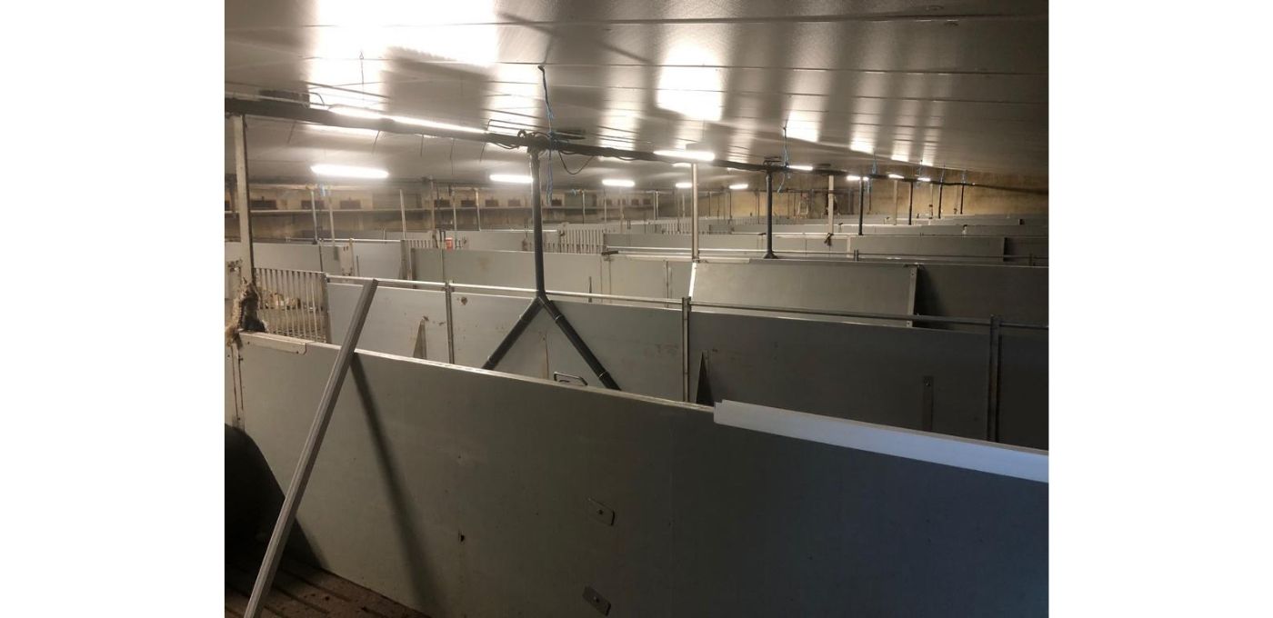 Recticel Insulation's Du.Panel<sup>®</sup> X installed within a pig farm unit - full building interior wide-angle image