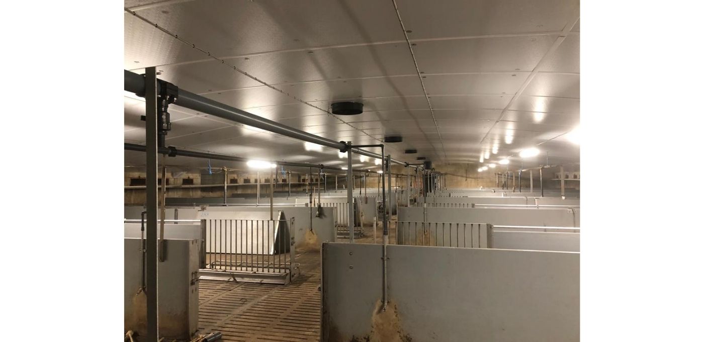 Recticel Insulation's Du.Panel<sup>®</sup> X installed within a pig farm unit - full building interior long-shot image