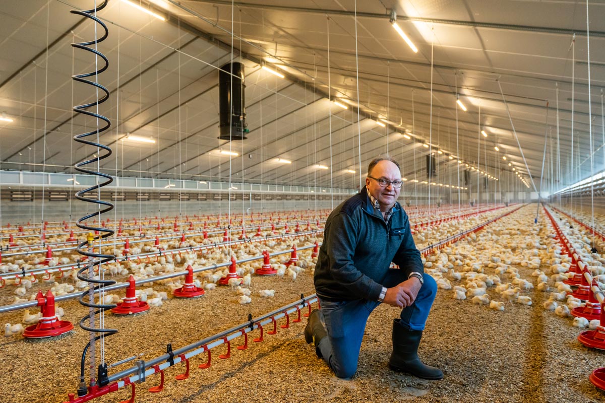 Vleeskuikenhouders Van Dijk-Nooijen gaan volop voor Powerline isolatieplaten in hun nieuwe stallen voor kuikens