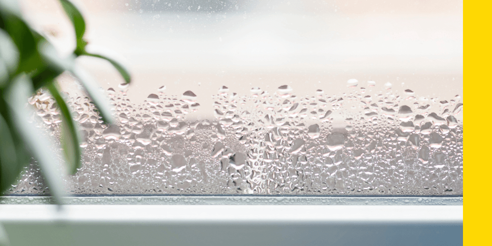 Conseils éviter condensation habitation