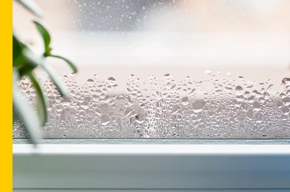 4 bonnes pratiques pour éviter la condensation